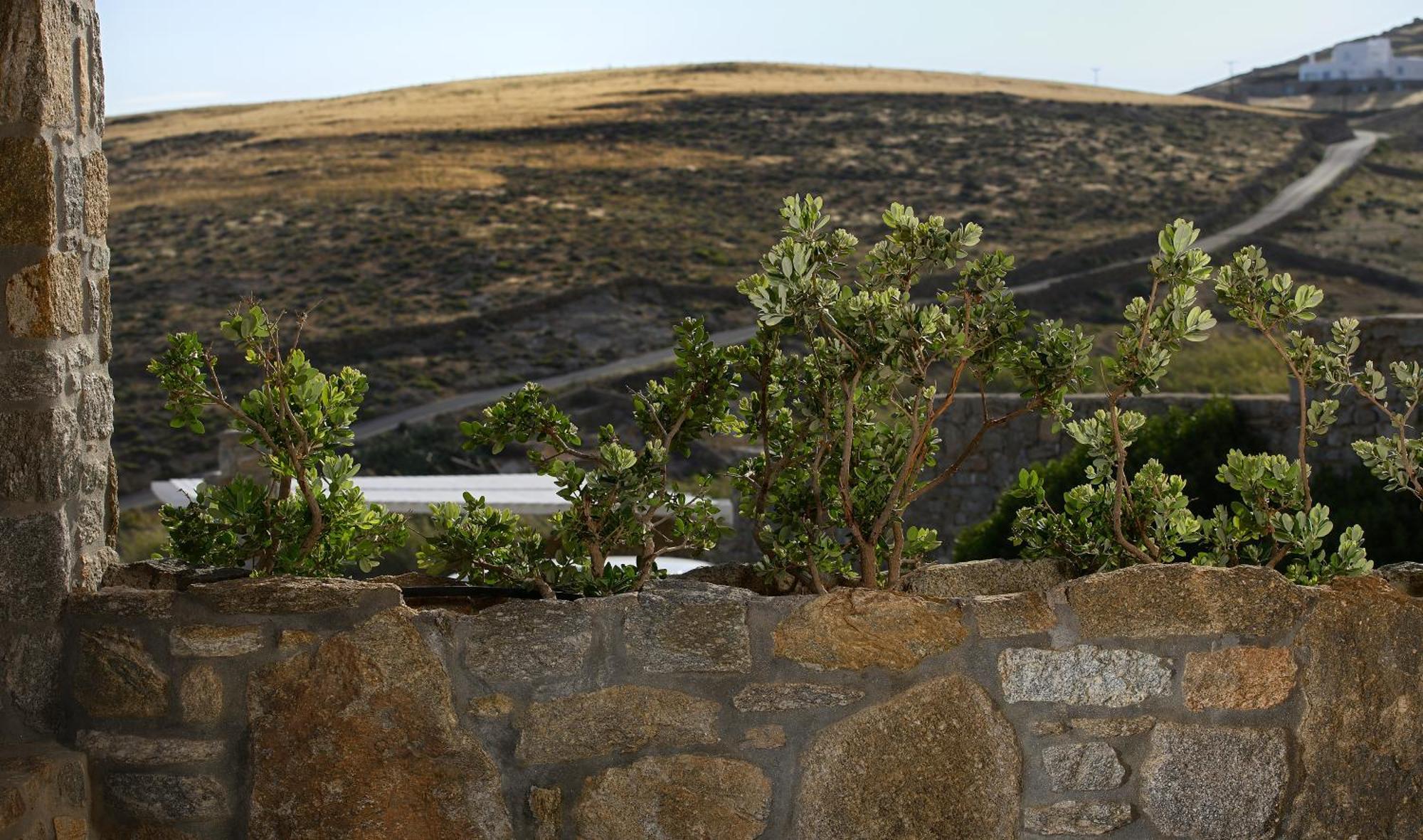 Vlia Mykonos Apartamento Kalafatis Exterior foto